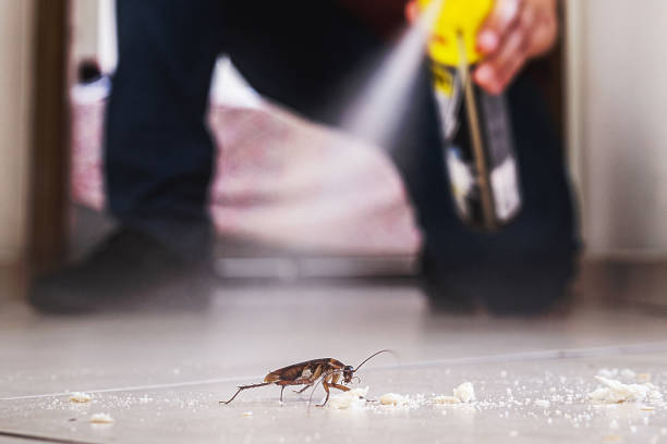 Best Ant Control Services  in Genola, UT